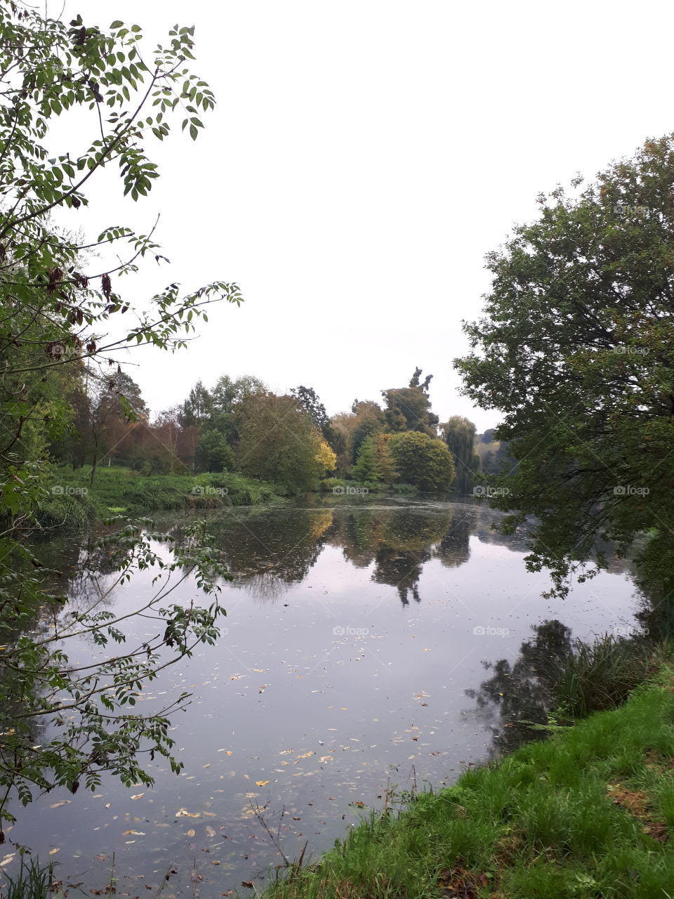 Autumn Lake