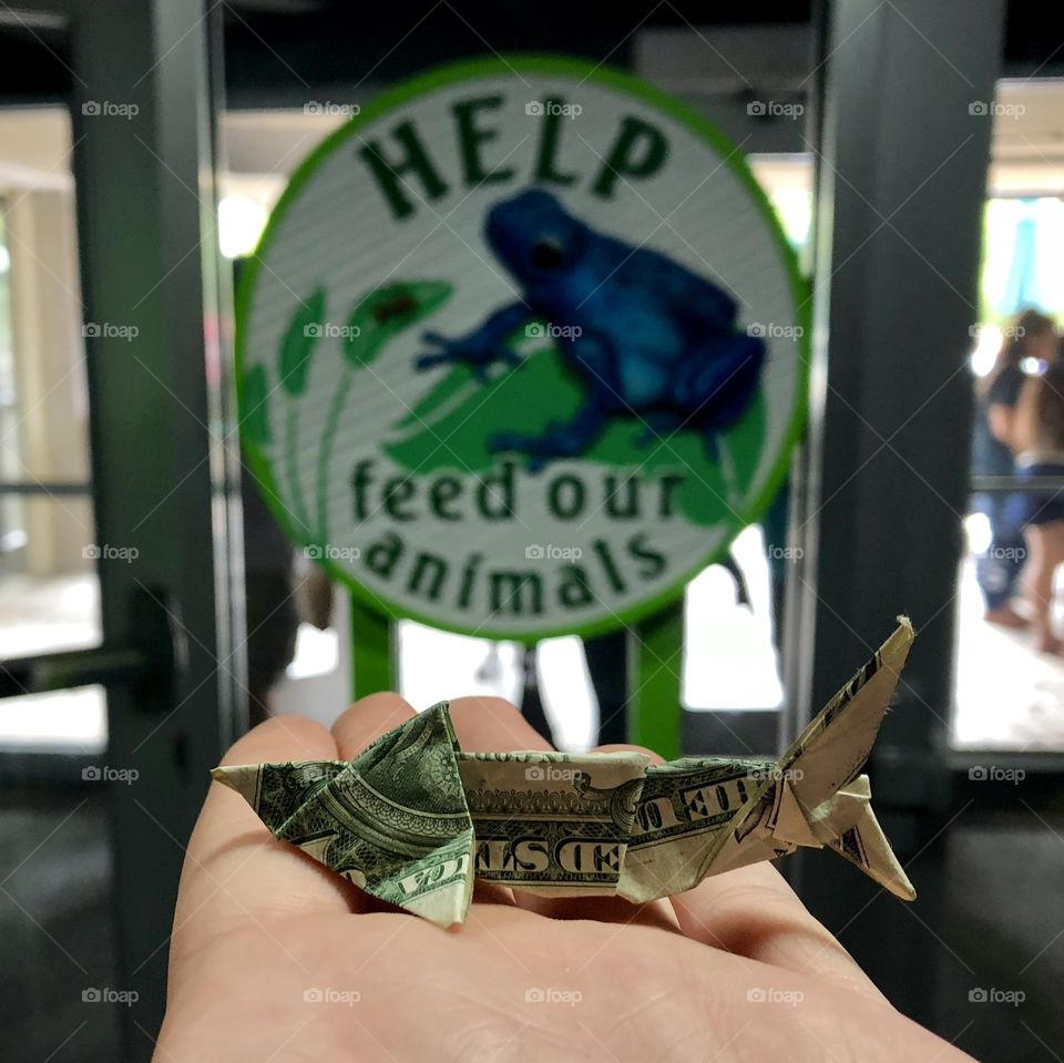 Origami dollar bill shark donated in support of the NC State Aquarium at Fort Fisher
