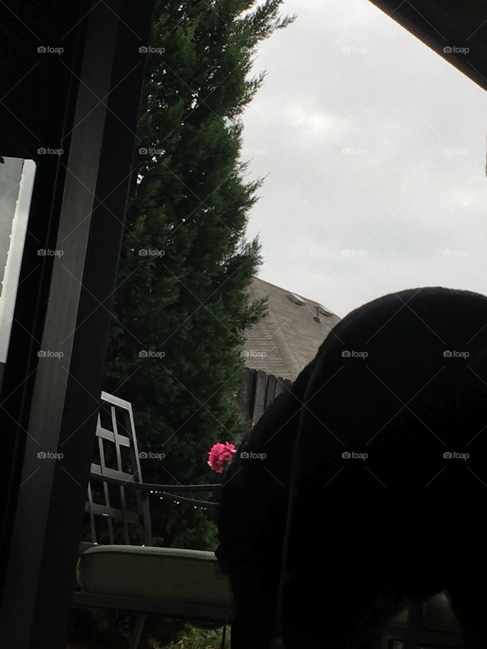 People, Landscape, Window, Street, One