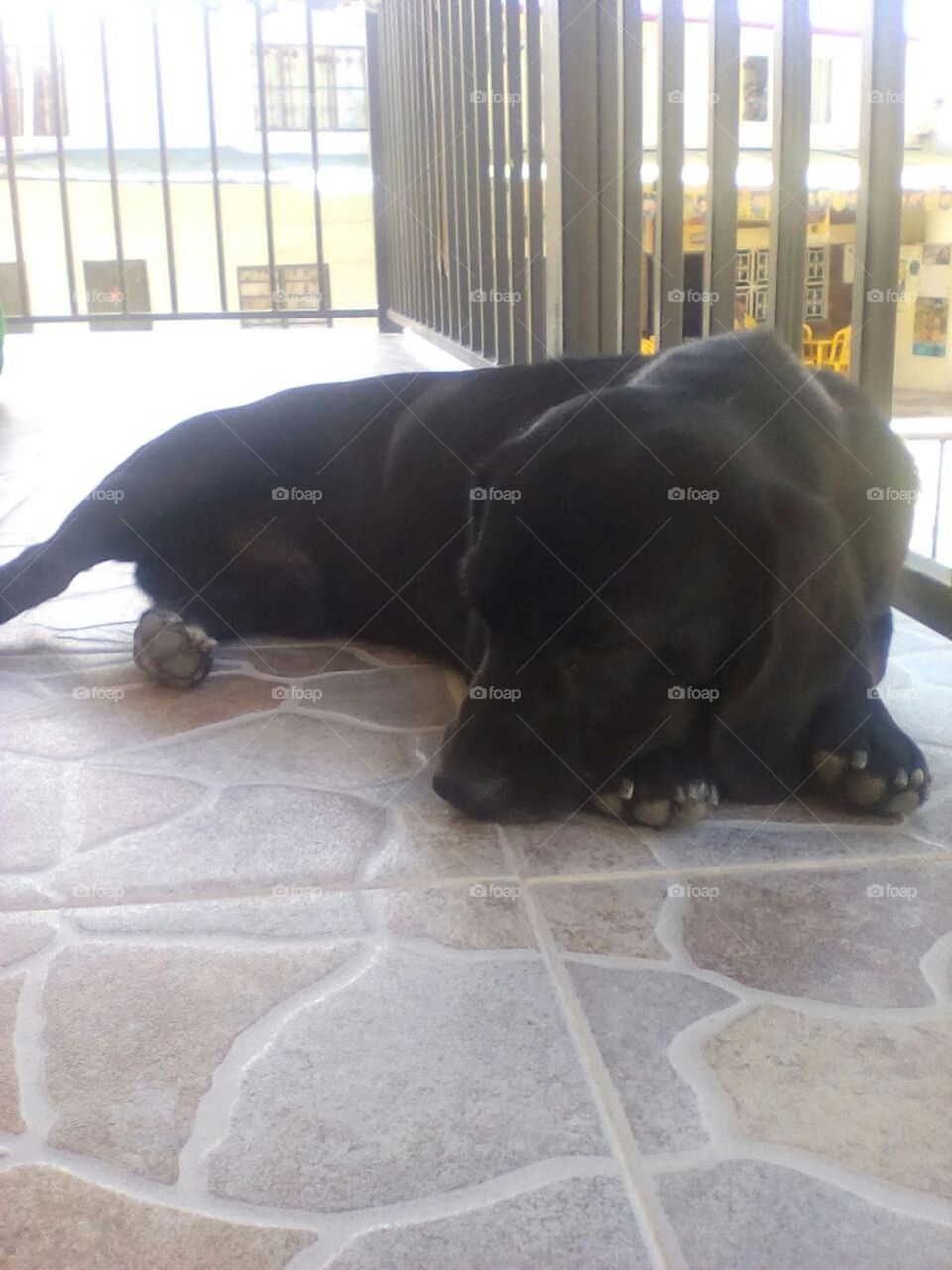 Simplemente tranquilidad