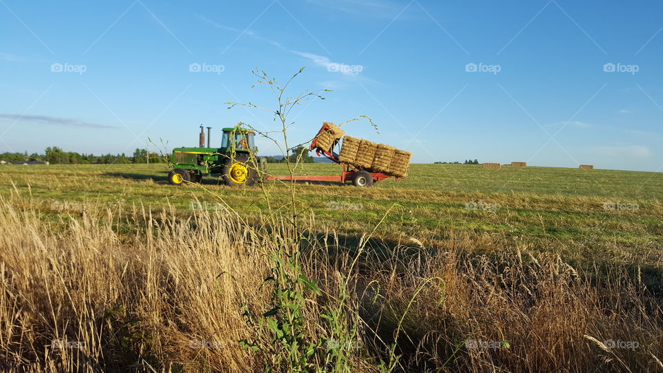 bailing hay