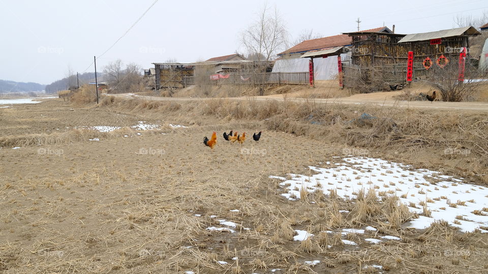 a Chinese village in winter