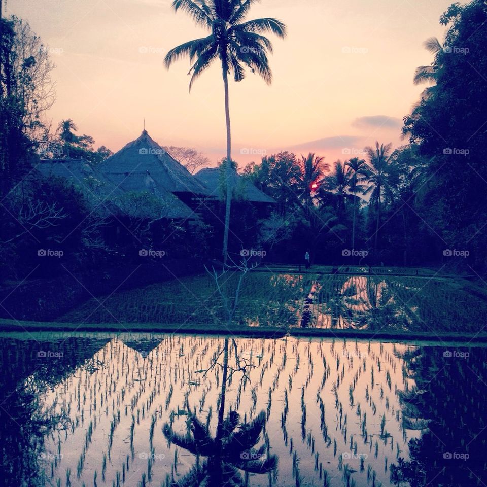 Reflections in Bali