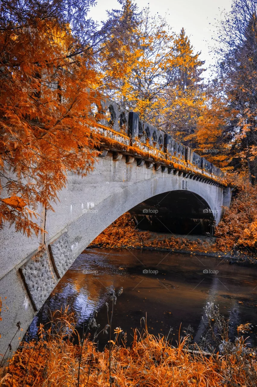 Autumn 