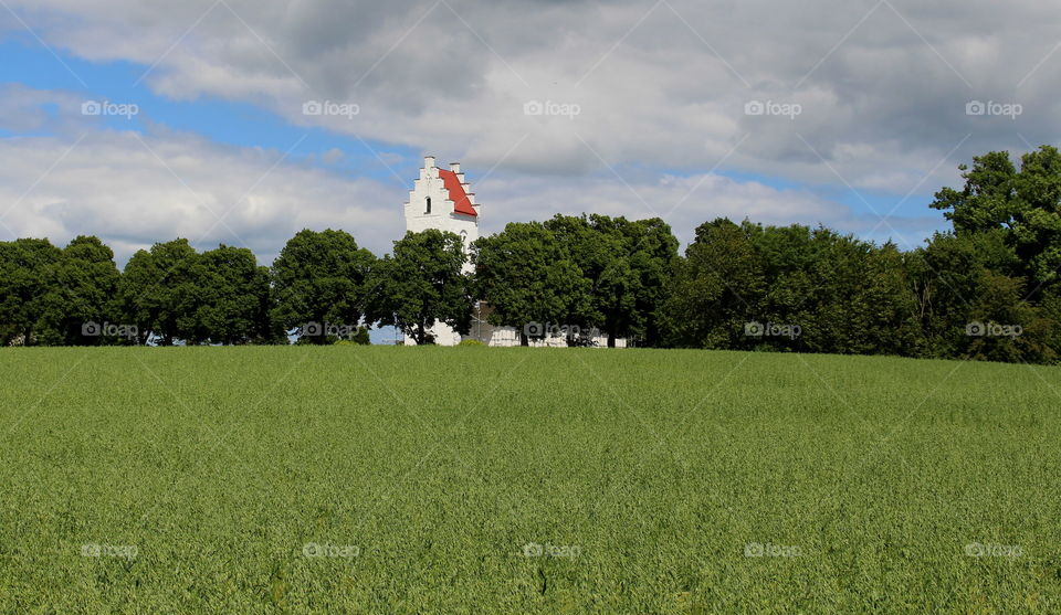 Skåne landscape