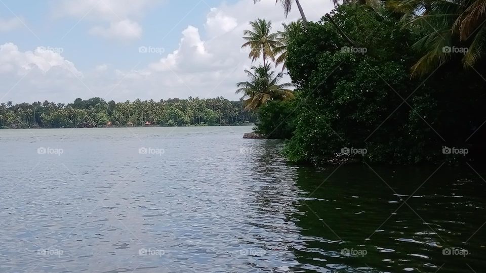 Ashtamudi Lake