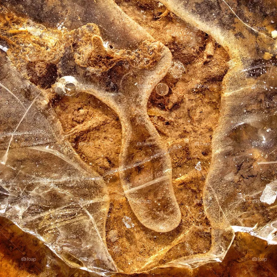 Ice