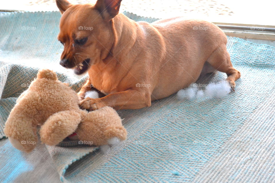 Playing and have fun