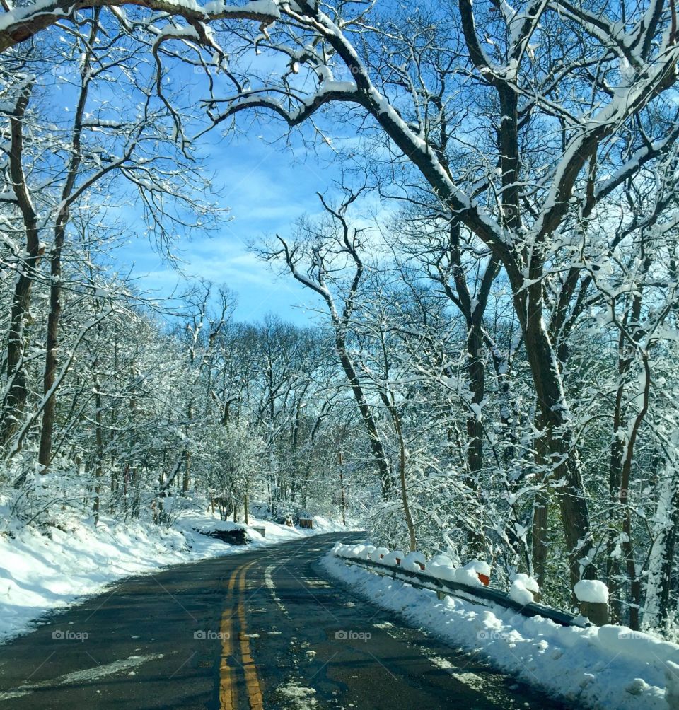 Winter Road