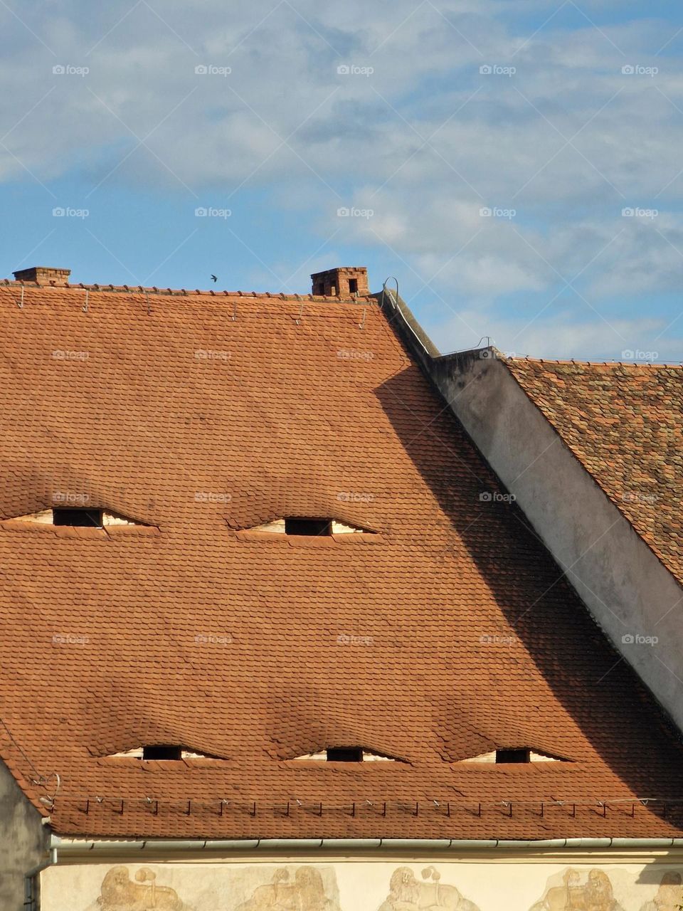 roof with eyes