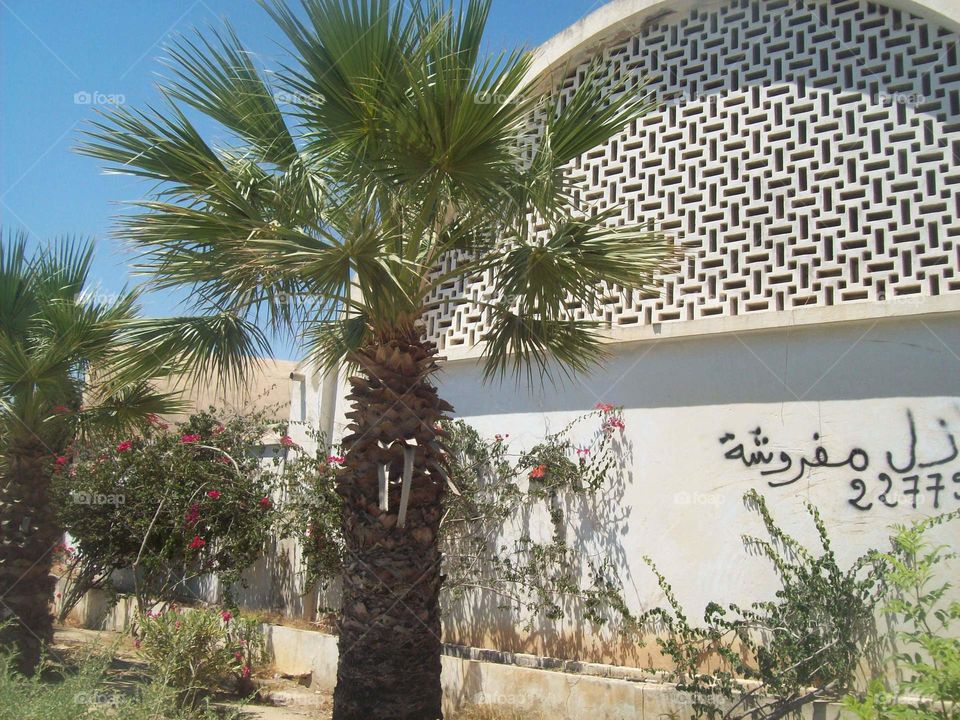 Travel in Tunisia