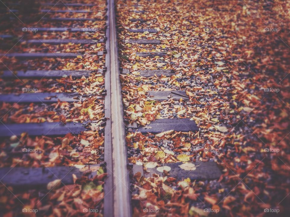 Railroad