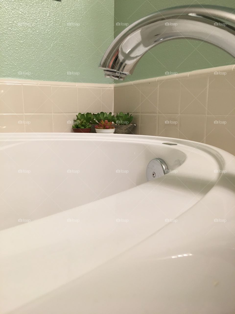 Succulent bath