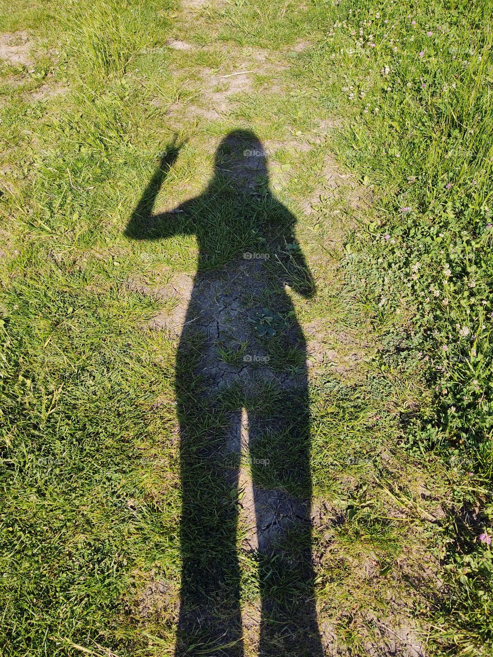 woman's shadow on the grass. Slovakia