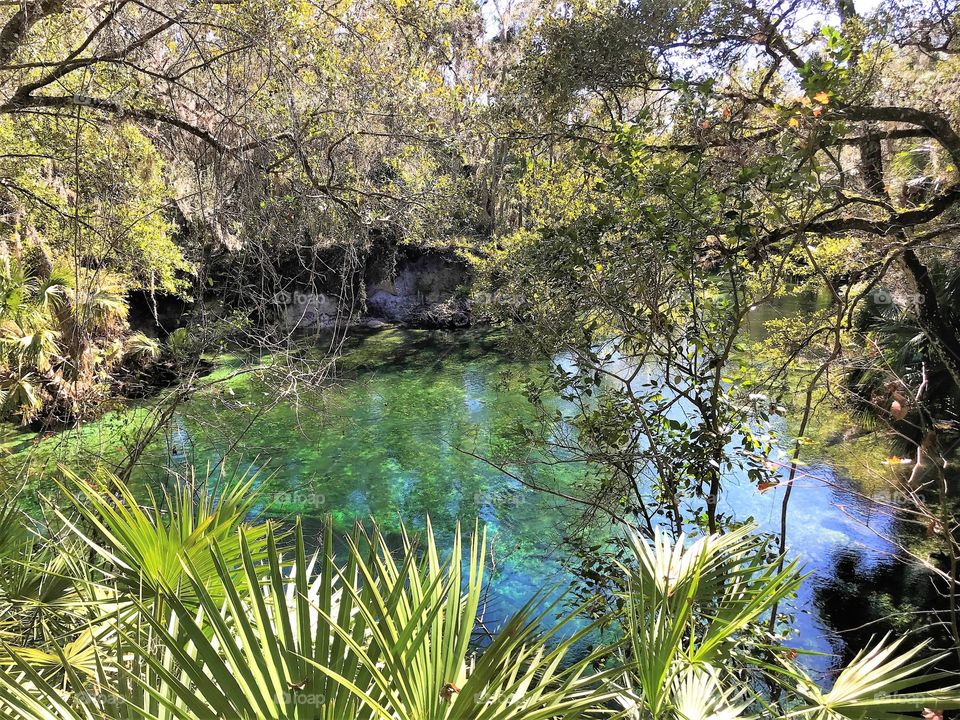 Florida Lake