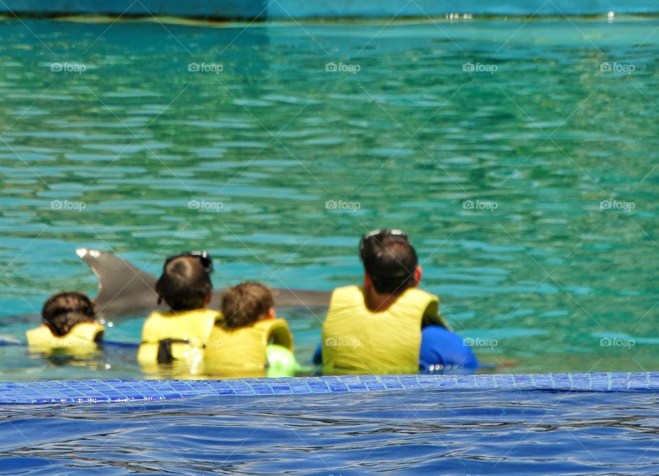 Swimming With Dolphins
