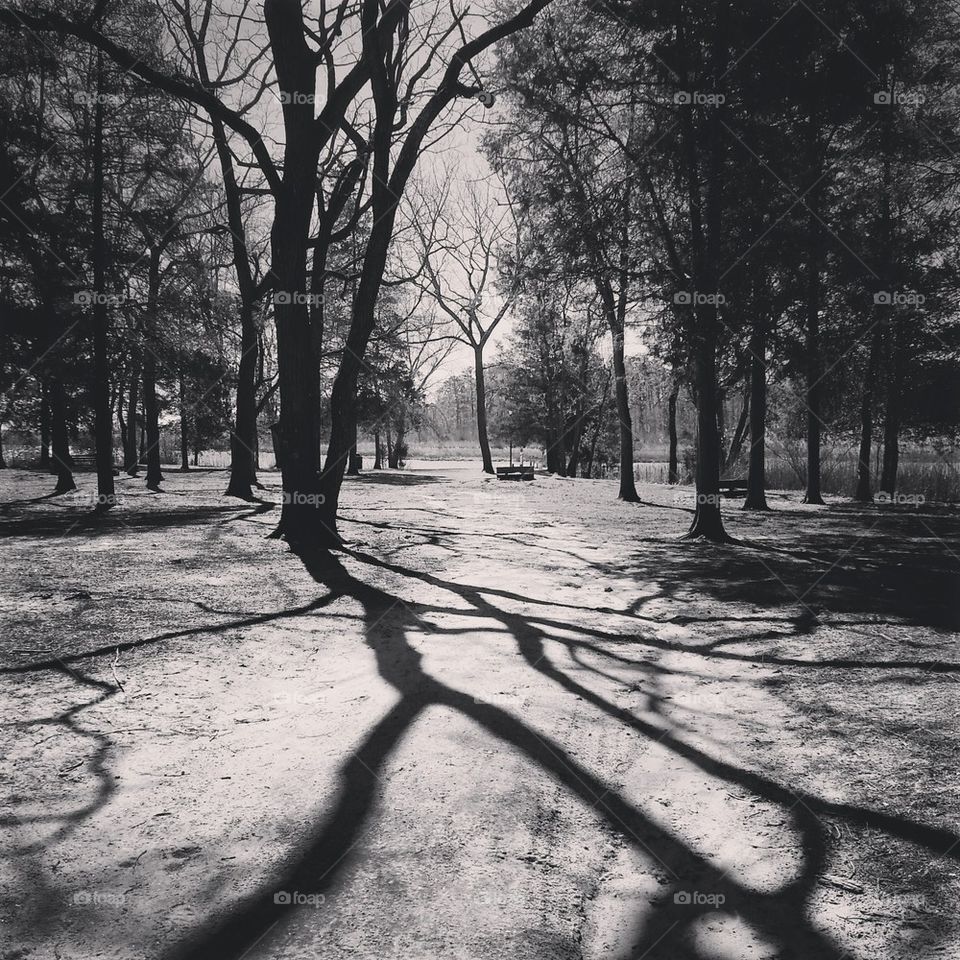 the path to the river 