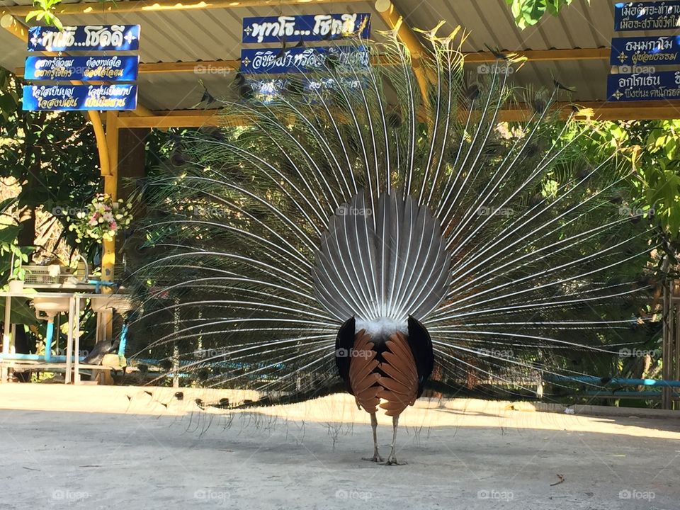 No Person, Architecture, Outdoors, Travel, City