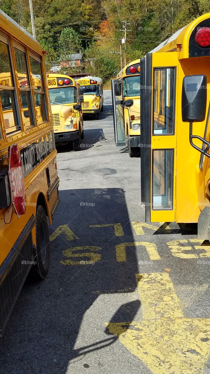 school buses at local elementary