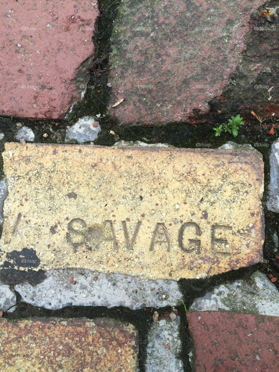 Savage brick