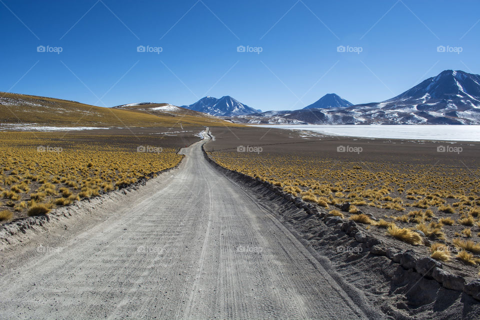 Path in the desert