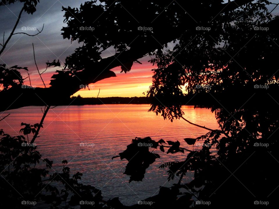 Evening Sunset Silhouette 
