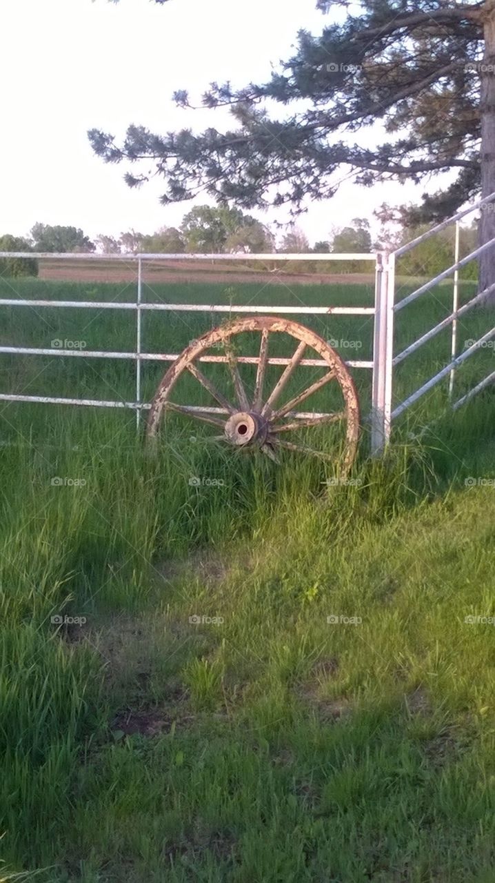 wheel in the wind