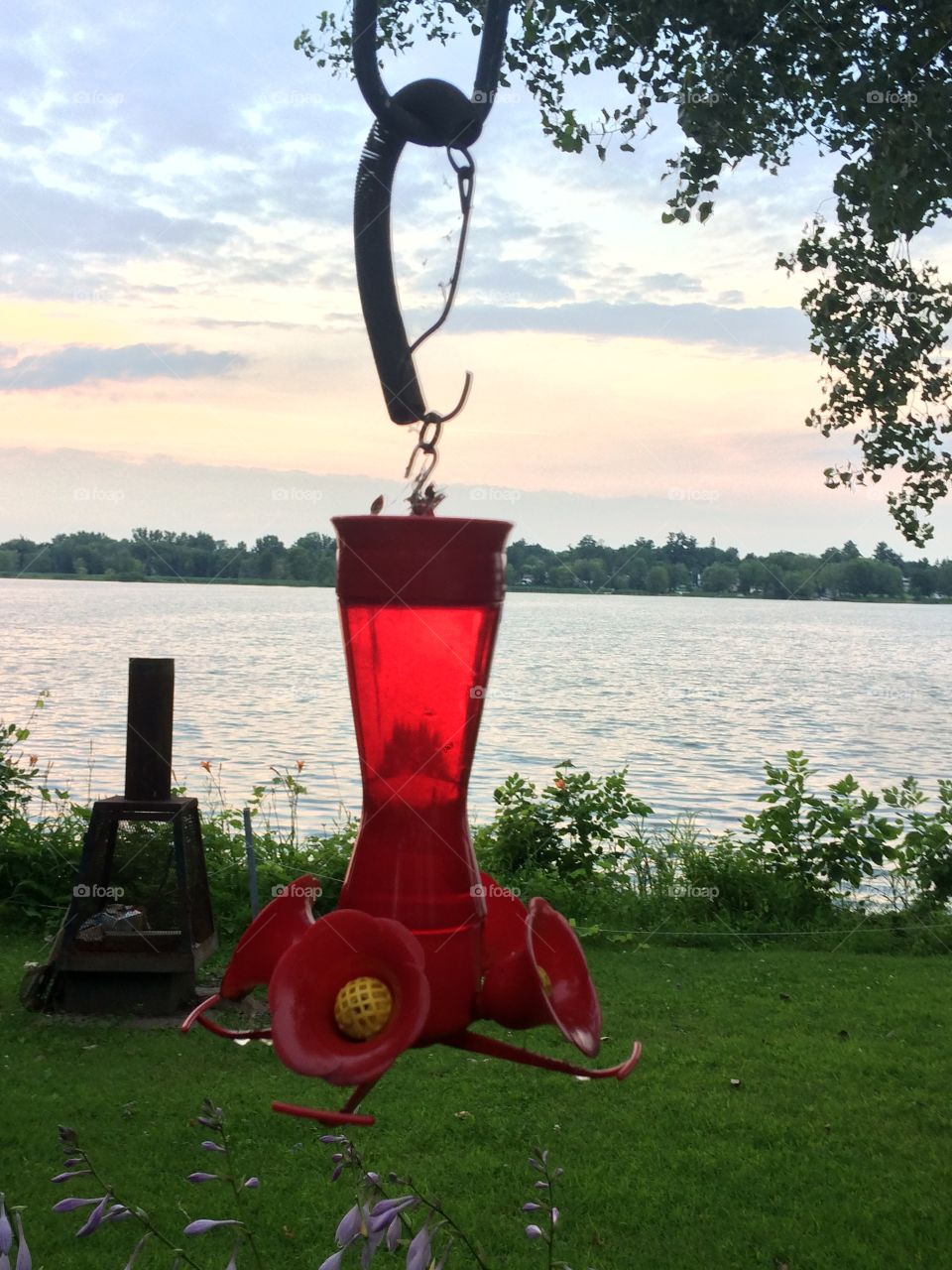 Red hummingbird feeder 