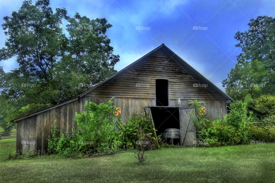 Strange Barn #1