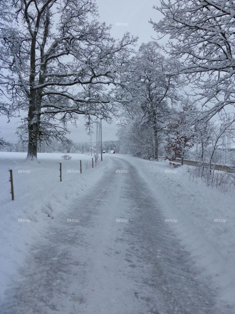 Winter road 