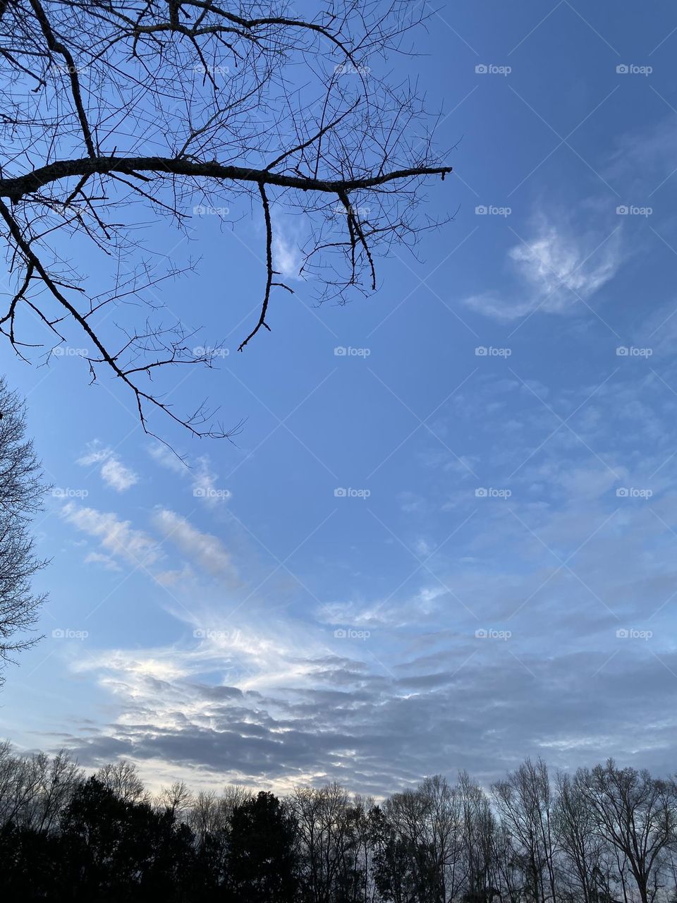 Beauty in the blue sky 