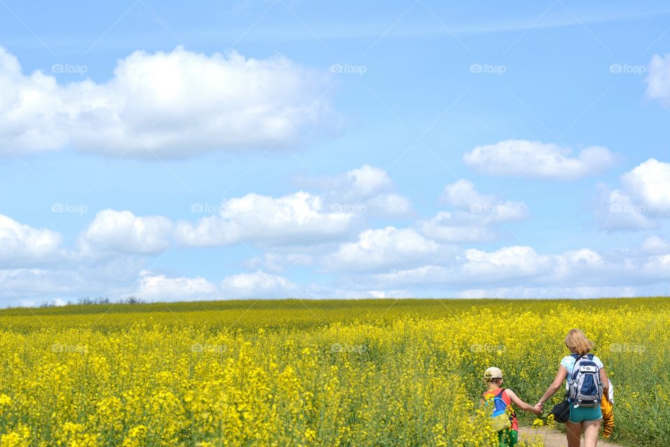 Nature, Outdoors, Summer, Sky, Field