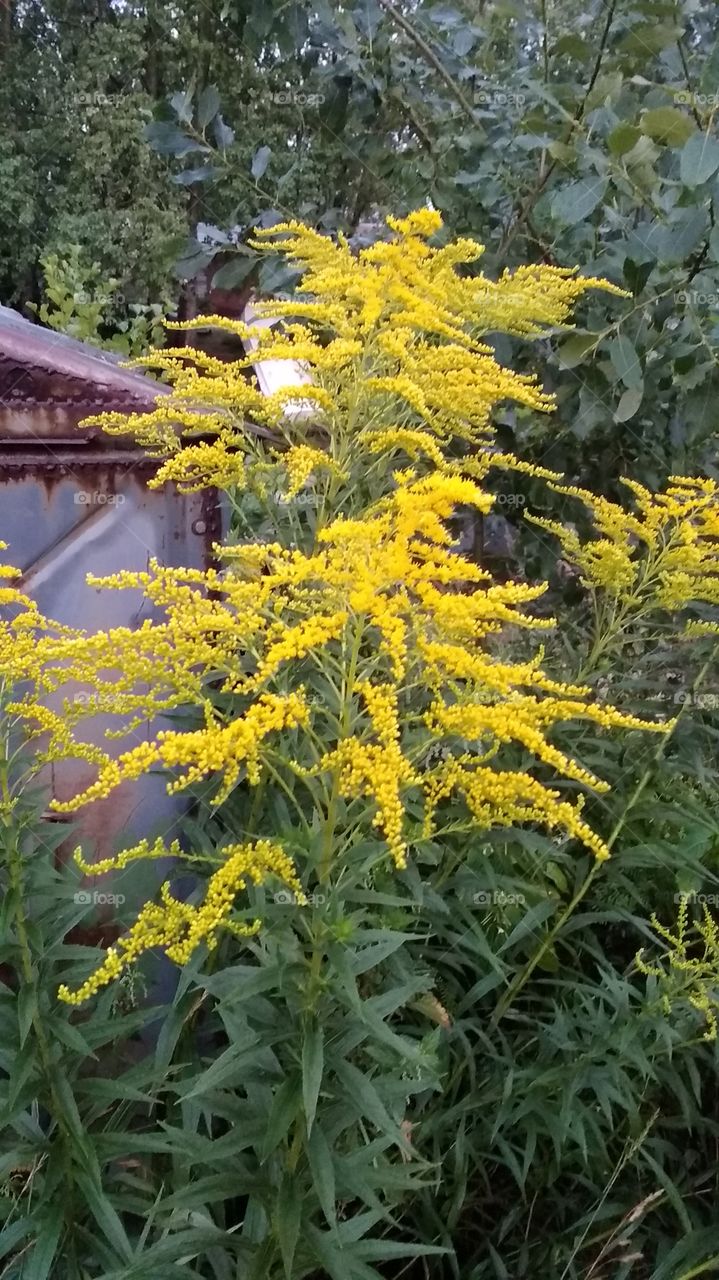 а тут ещё лето