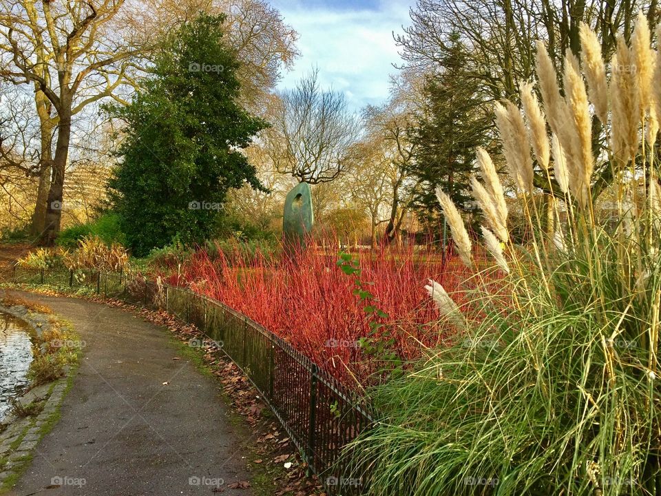 A vibrantly colored park in London boasts a patch of bright red grass, cattails and a tall evergreen
