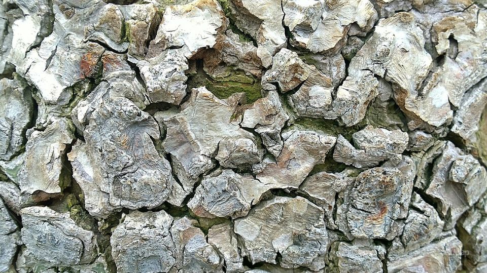 Ground of rock pattern.. It's a rock pattern on the ground.