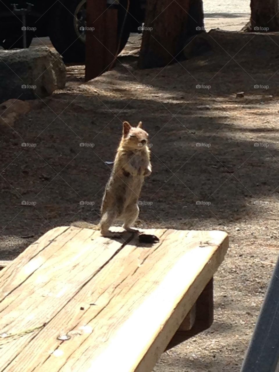 I’m awake I’m just going to rest my eyes real fast 