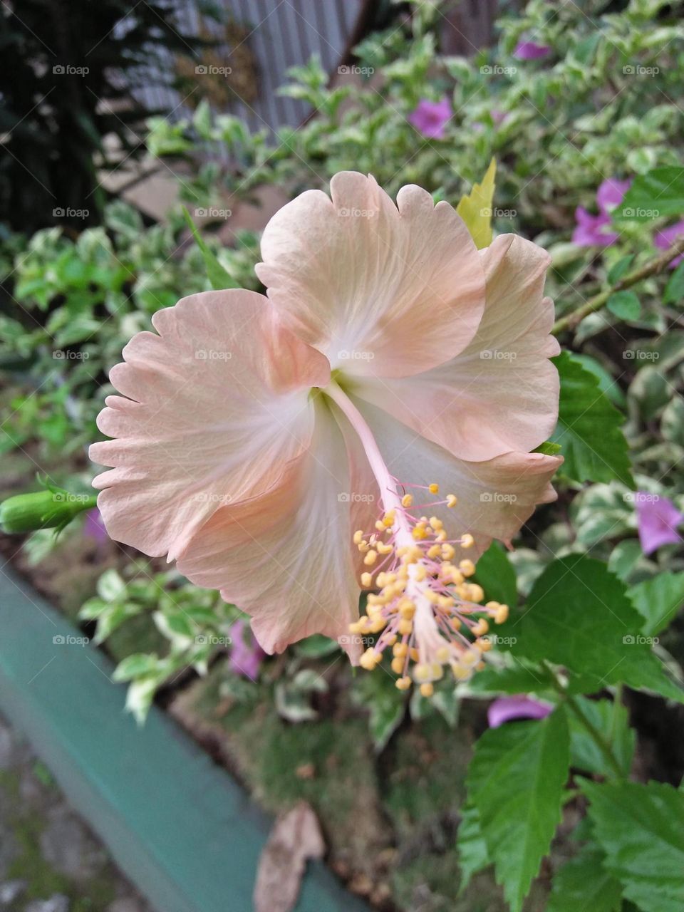 Best of 2021 : Nature