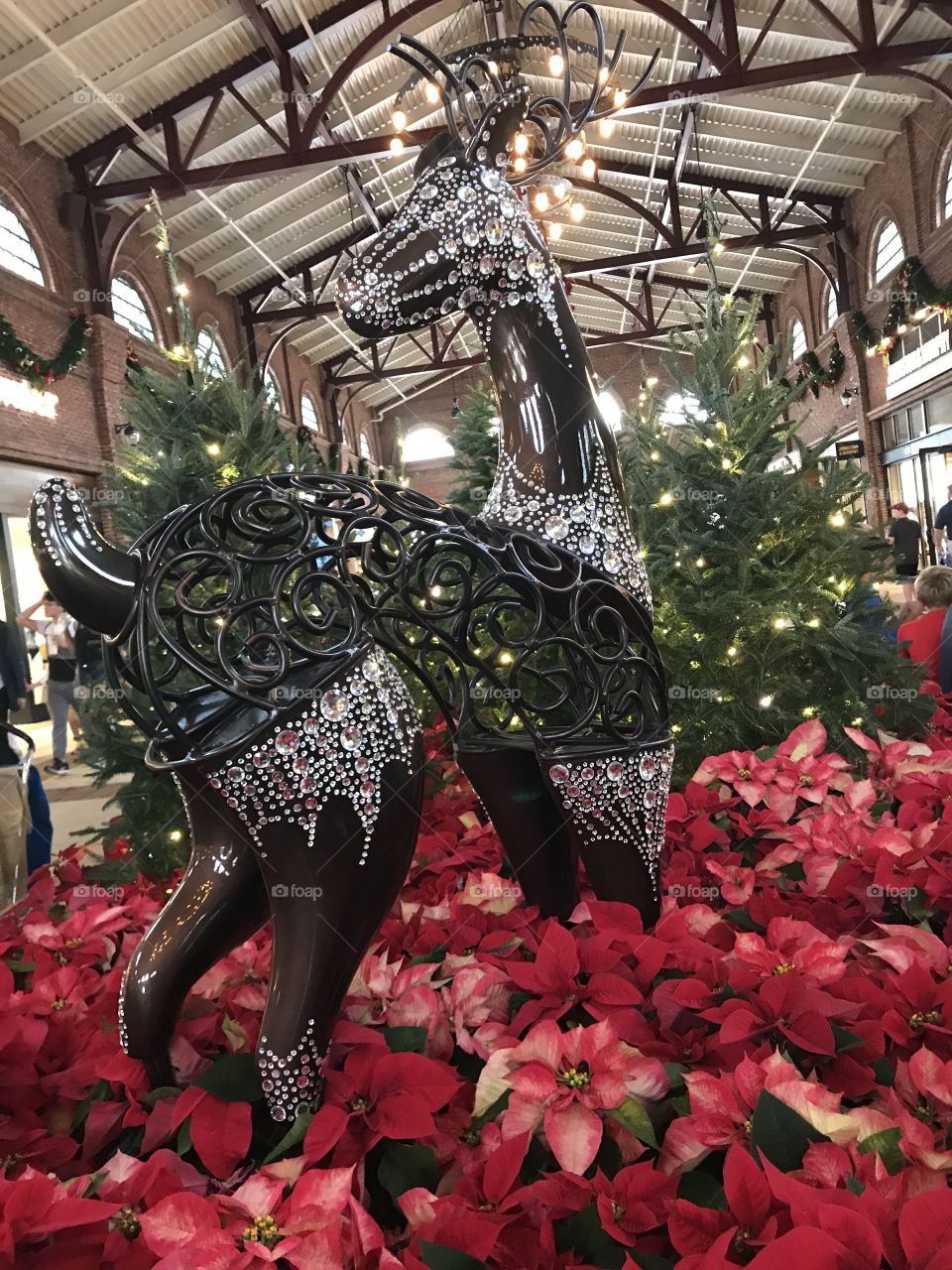 Diamond back Reindeer with a red flower background.
Florida, odnalrO ni detacol tneduts FCU nA .asleS yb kcilC Follow me @Selsa.Notes, @Selsa.Clicks, and @Selsa.Notes #Selsa