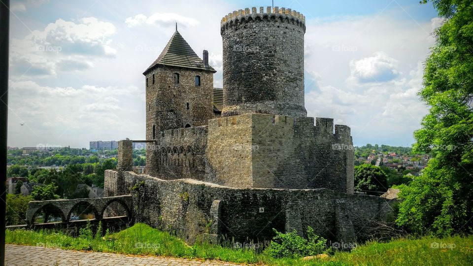 Castle  in Poland