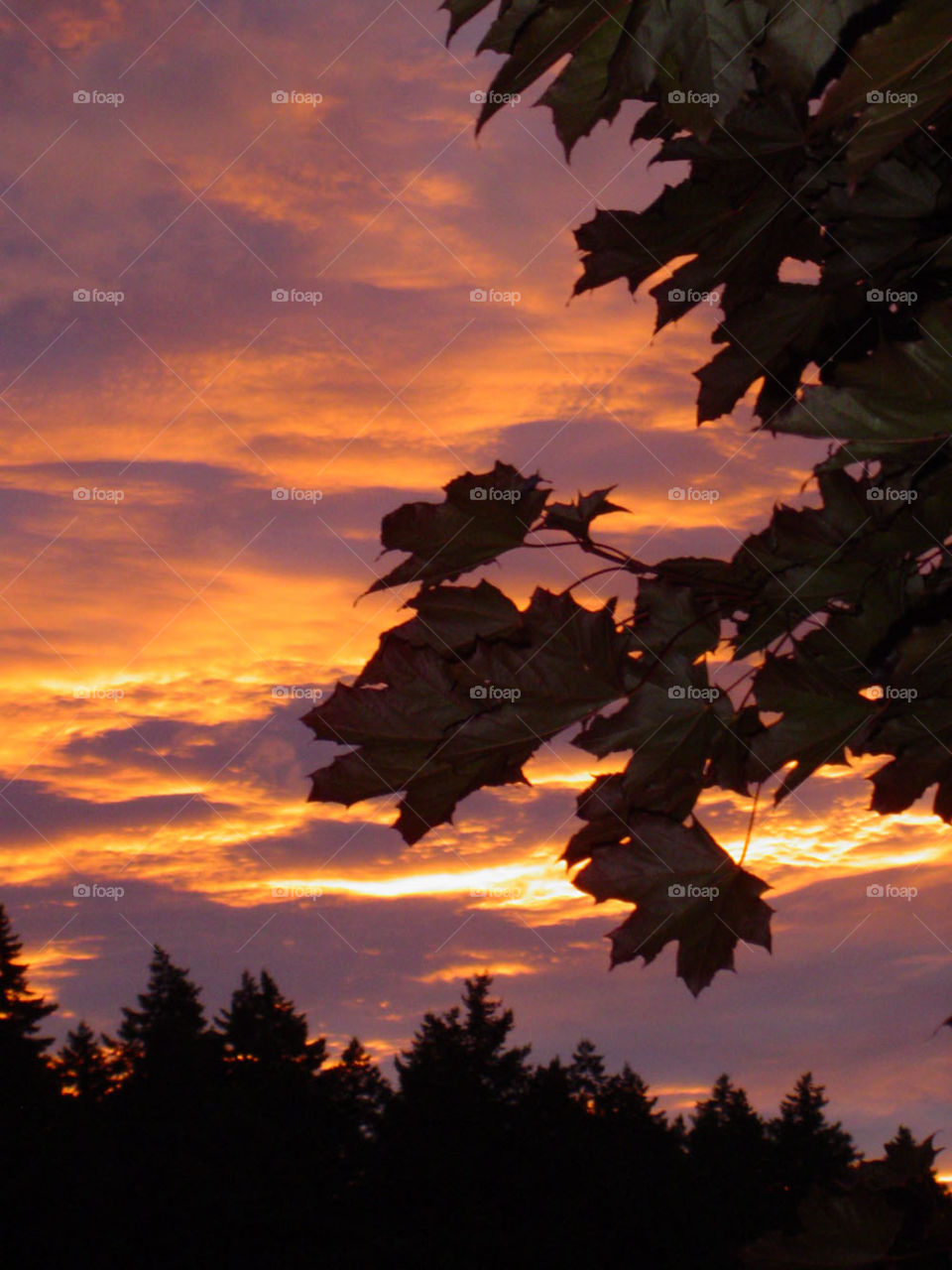 Gorgeous sunset over the Comox Valley, Vancouver island, British Columbia, Canada