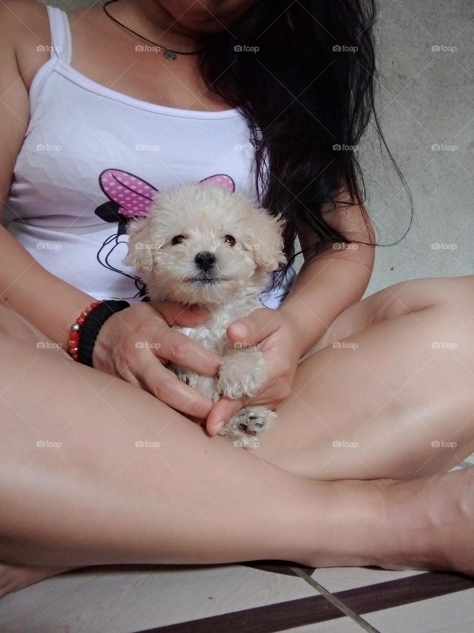 Introduce Your Pet! by Pets