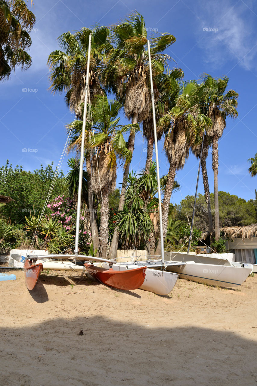 Catamarans on a beach