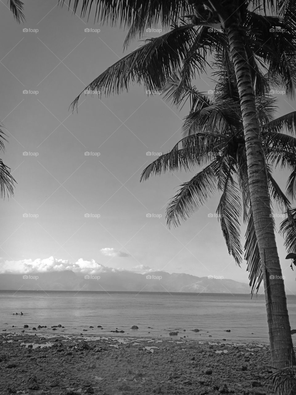 sky, trees, sea and mountain.. undeniable beauty of nature in black and white