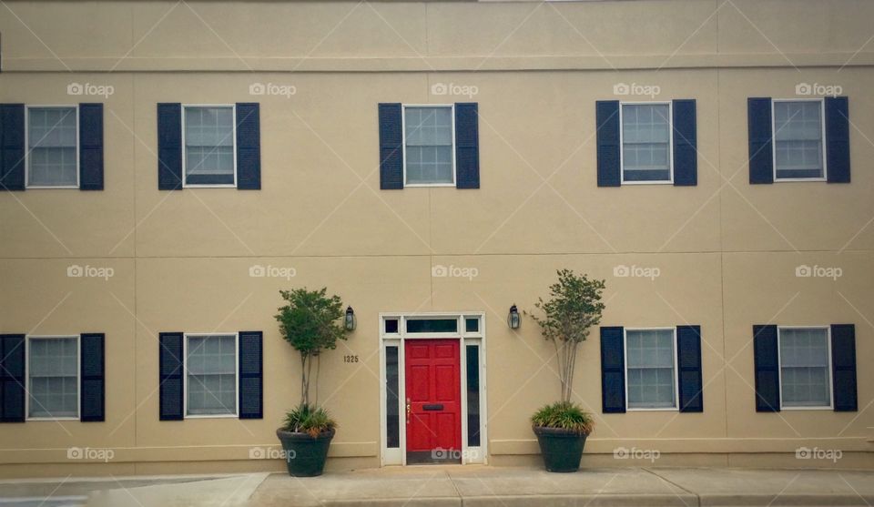 The red door. Some interesting architecture in Newberry SC.