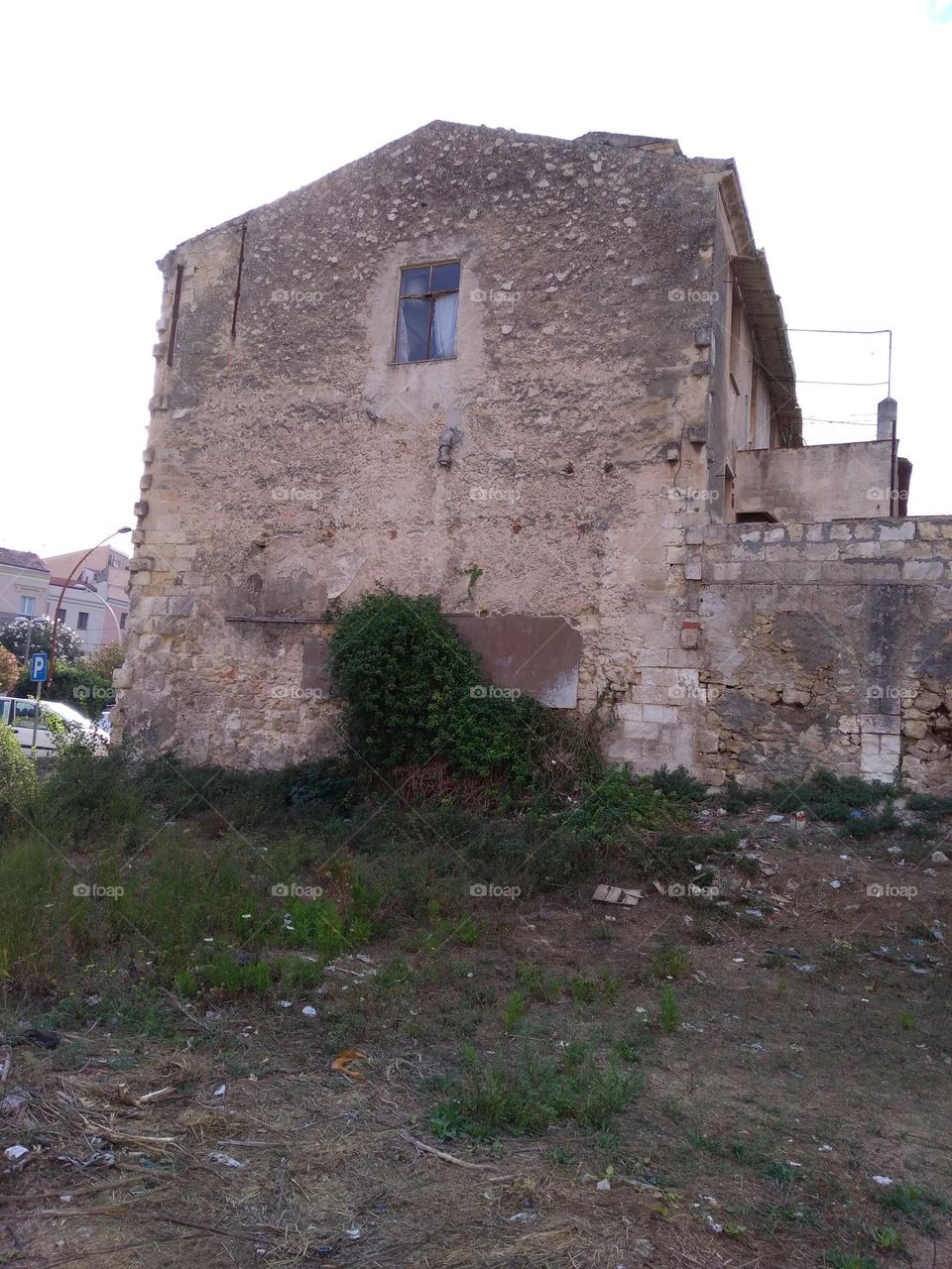 Best of 2021: Nature