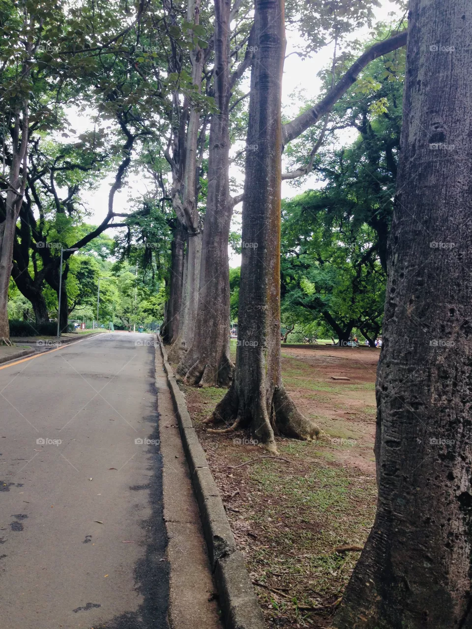Pathway 