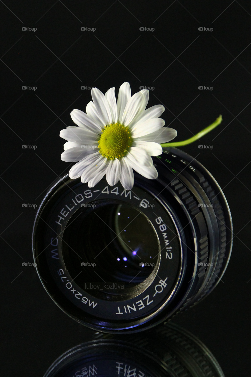 Flower and lens