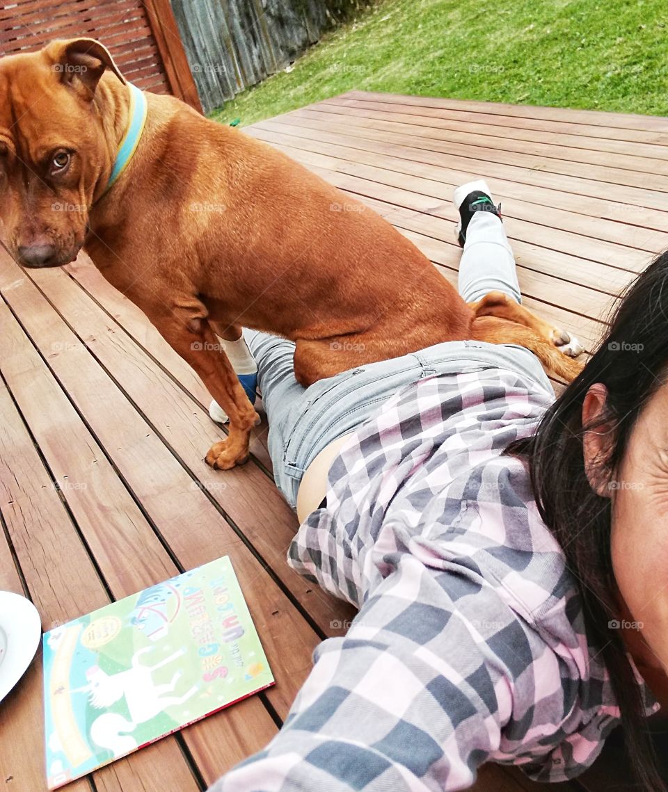 Best sit in the house. Dog sitting on top of human