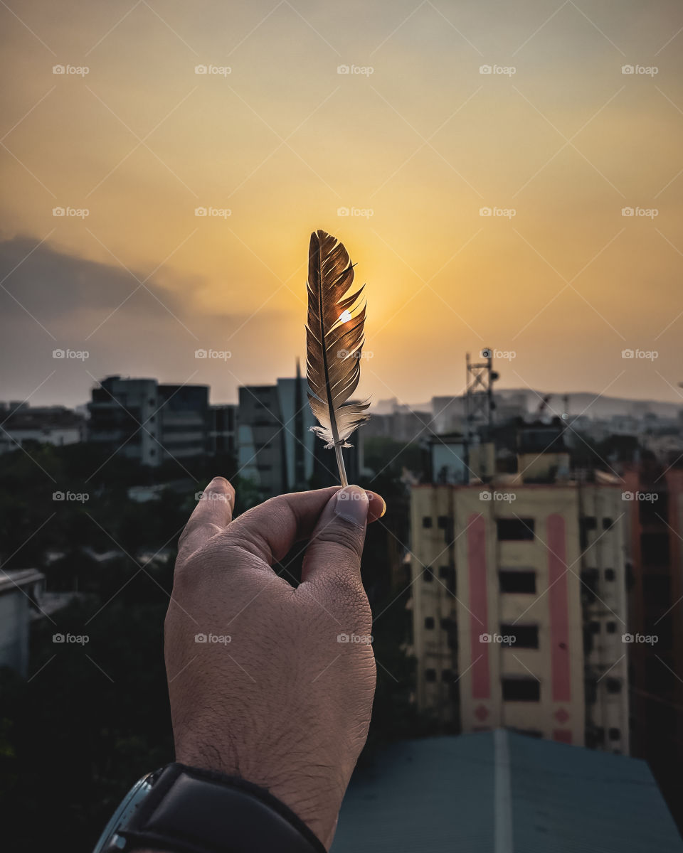 Feather summer- A combination of feather and a sun makes this pic much better. Picture has been captured on Realme 6i and colour graded on Adobe Lightroom application.
exif-
f/1.8   ISO88   1/1400sec.
Location- Mumbai.