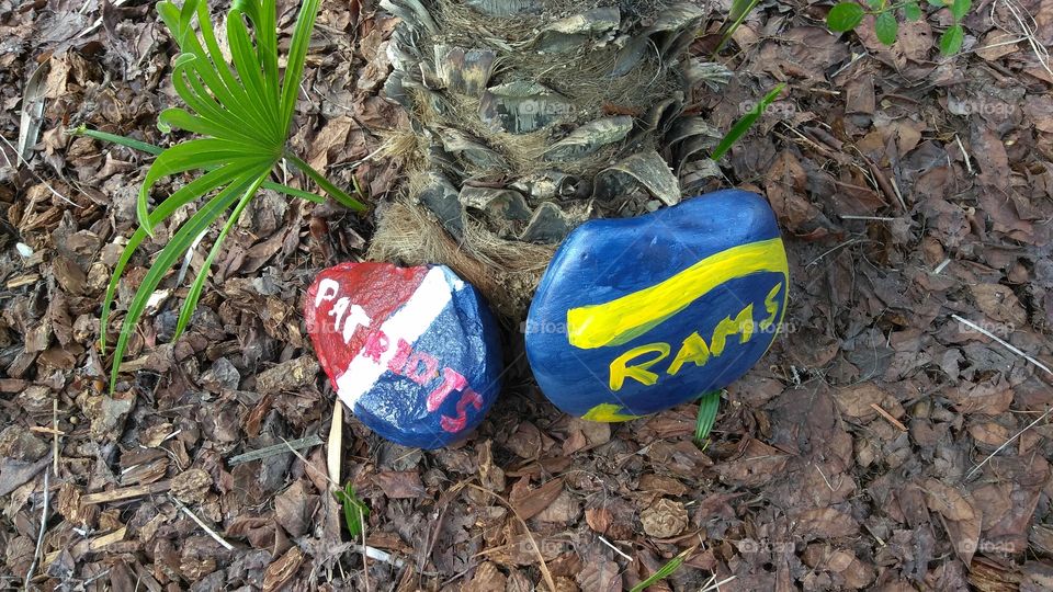 rock art! 
rock art at a senior living community.